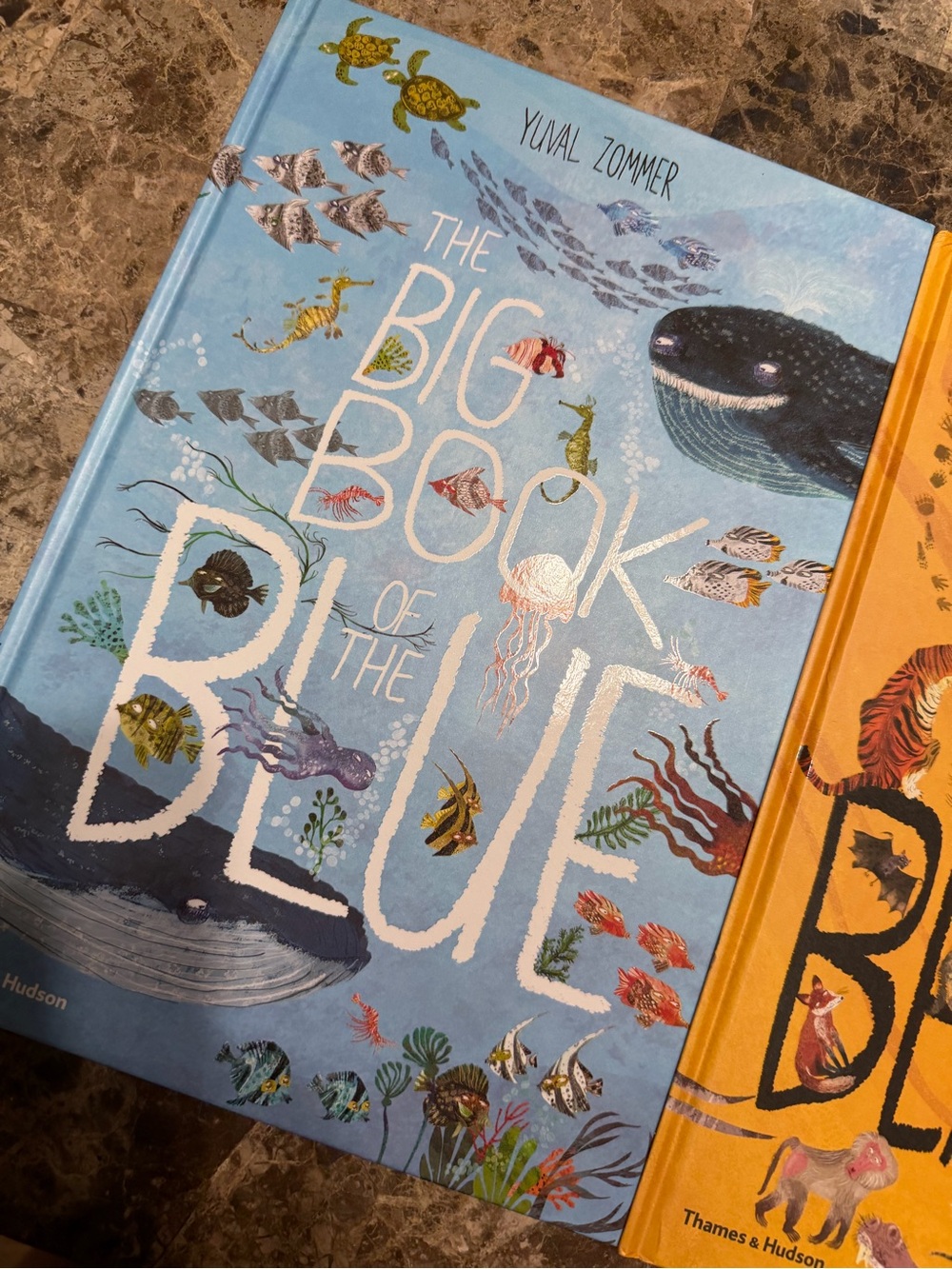 Yuval Zommer “The Big Book” Hardcover Collection [4 books]